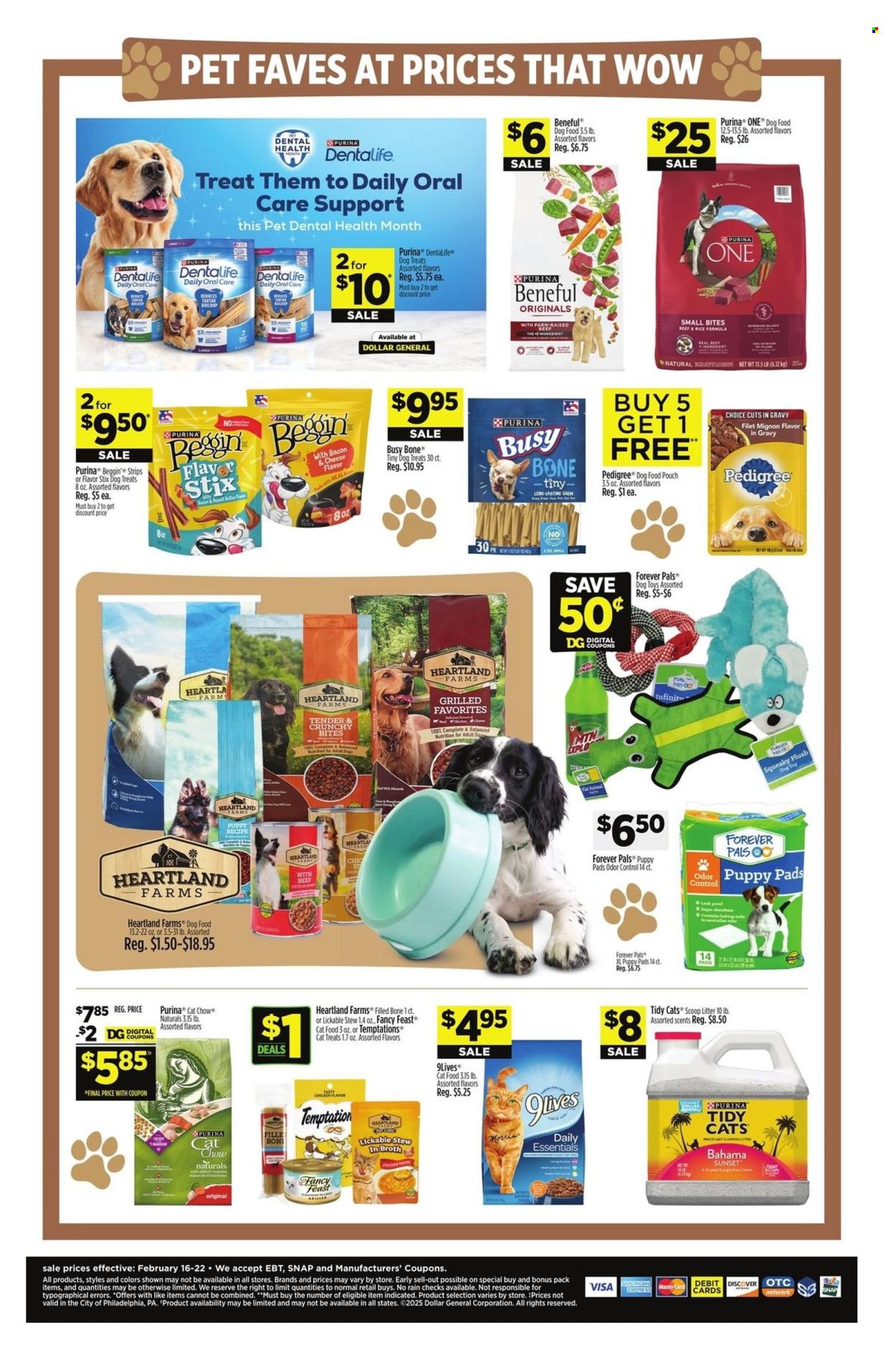 Dollar General ad - 02/16/2025 - 02/22/2025. Page 10
