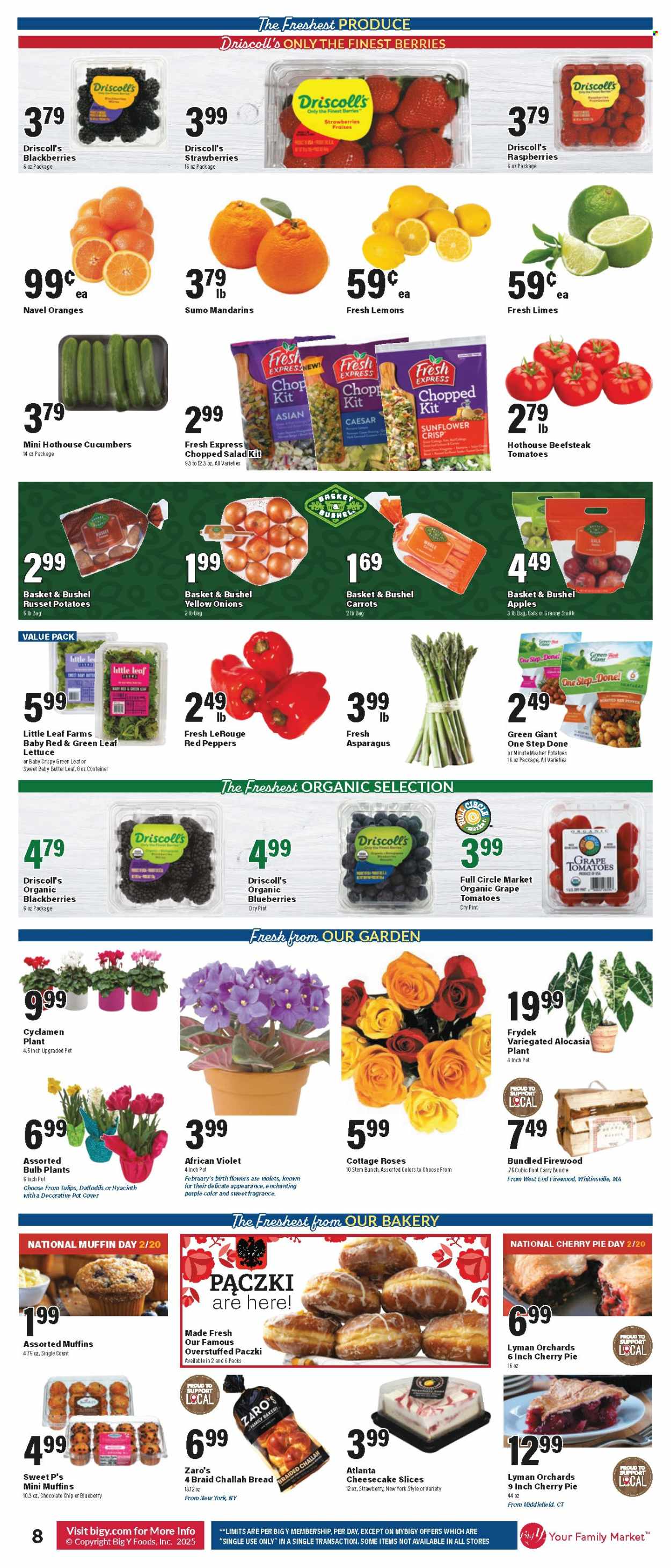Big Y ad - 02/20/2025 - 02/26/2025. Page 9