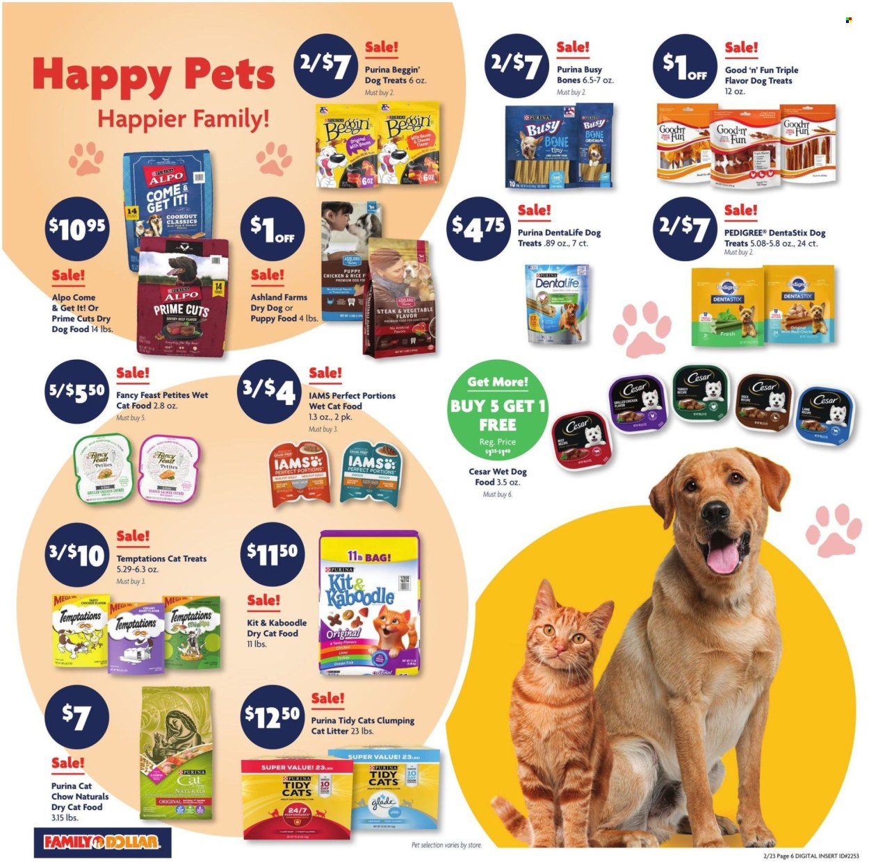 Family Dollar ad - 02/23/2025 - 03/01/2025. Page 10