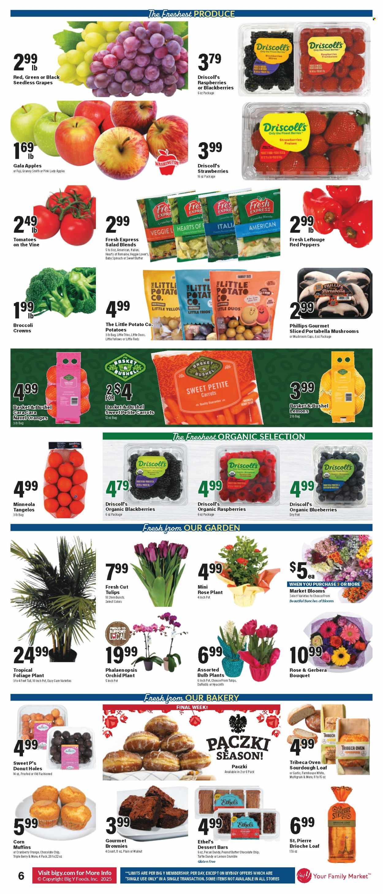 Big Y ad - 02/27/2025 - 03/05/2025. Page 6