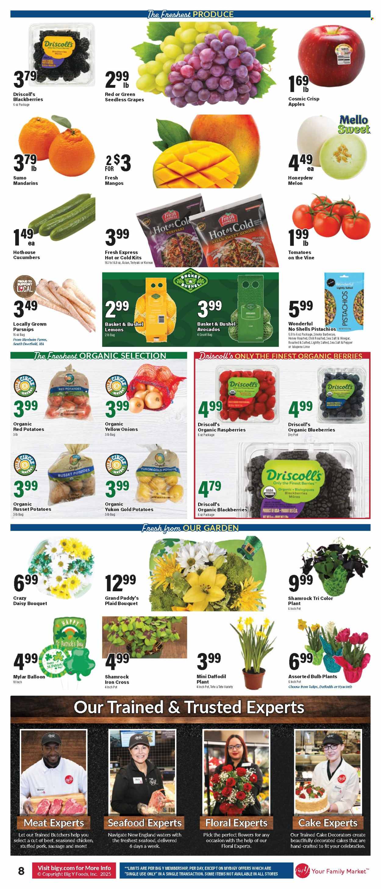 Big Y ad - 03/13/2025 - 03/19/2025. Page 9