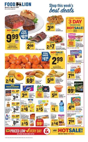 Food Lion Flyer - 03/19/2025 - 03/25/2025.