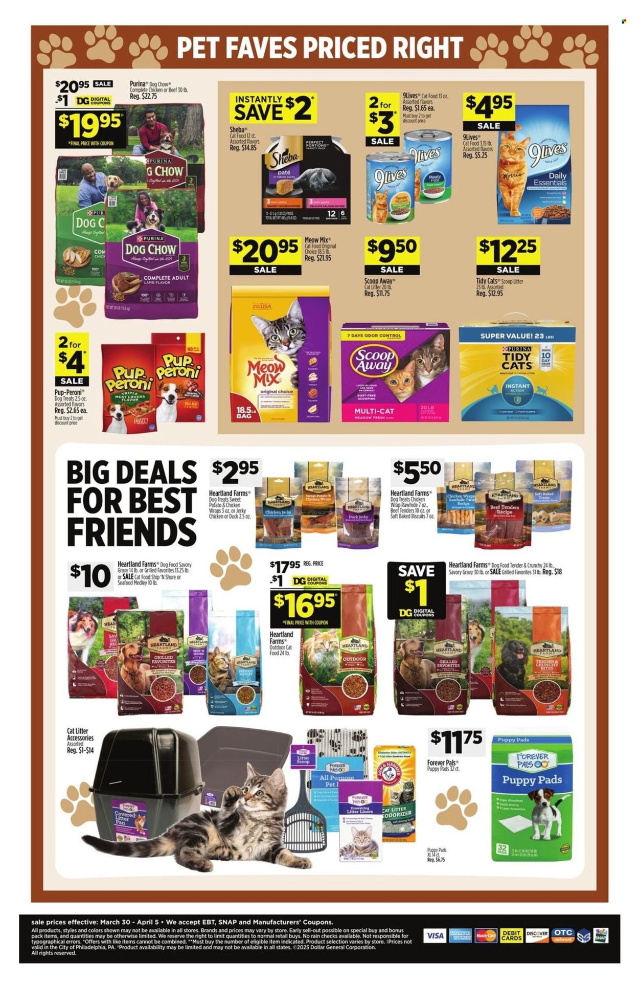 Dollar General ad - 03/30/2025 - 04/05/2025. Page 9