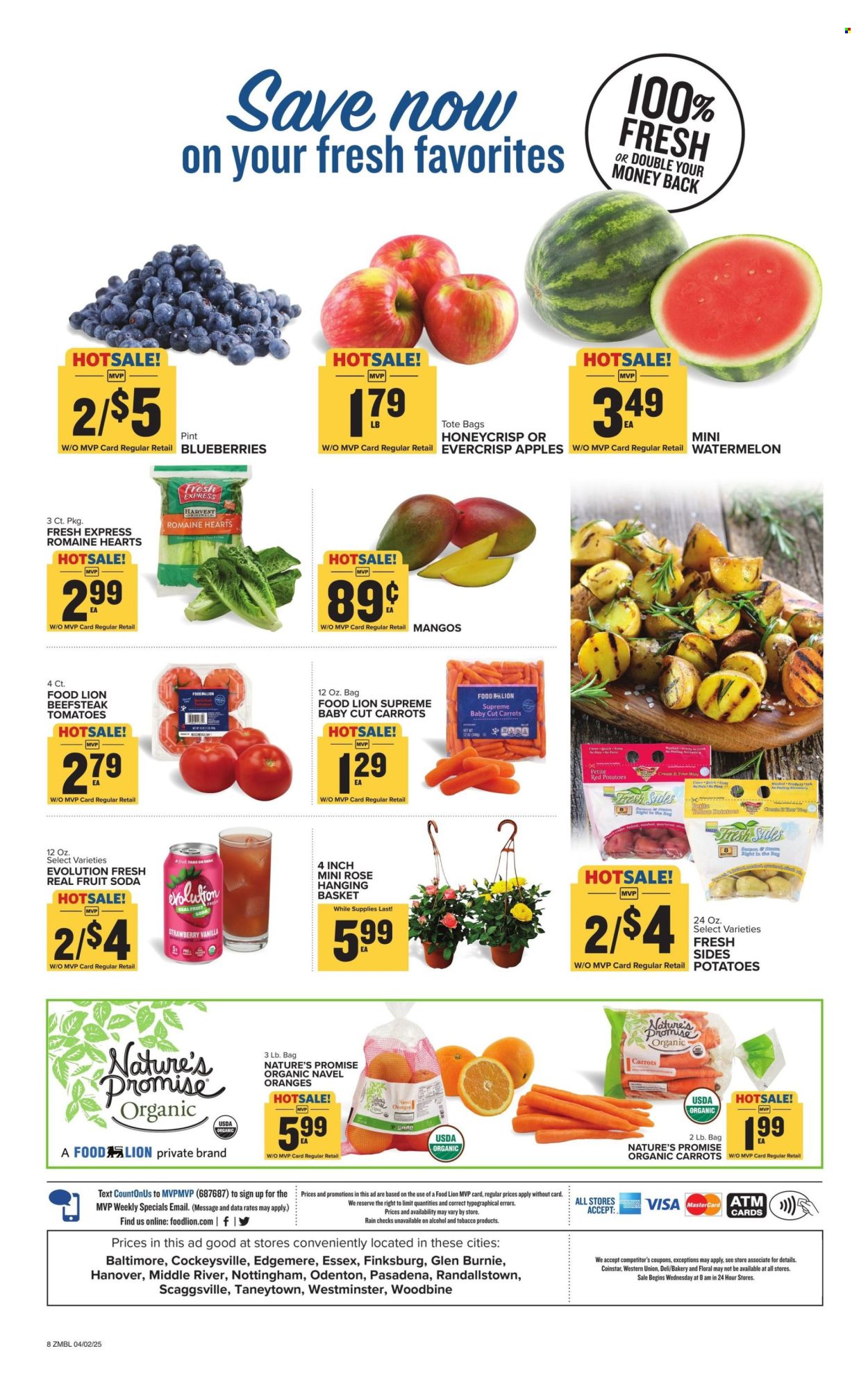 Food Lion ad - 04/02/2025 - 04/08/2025. Page 8