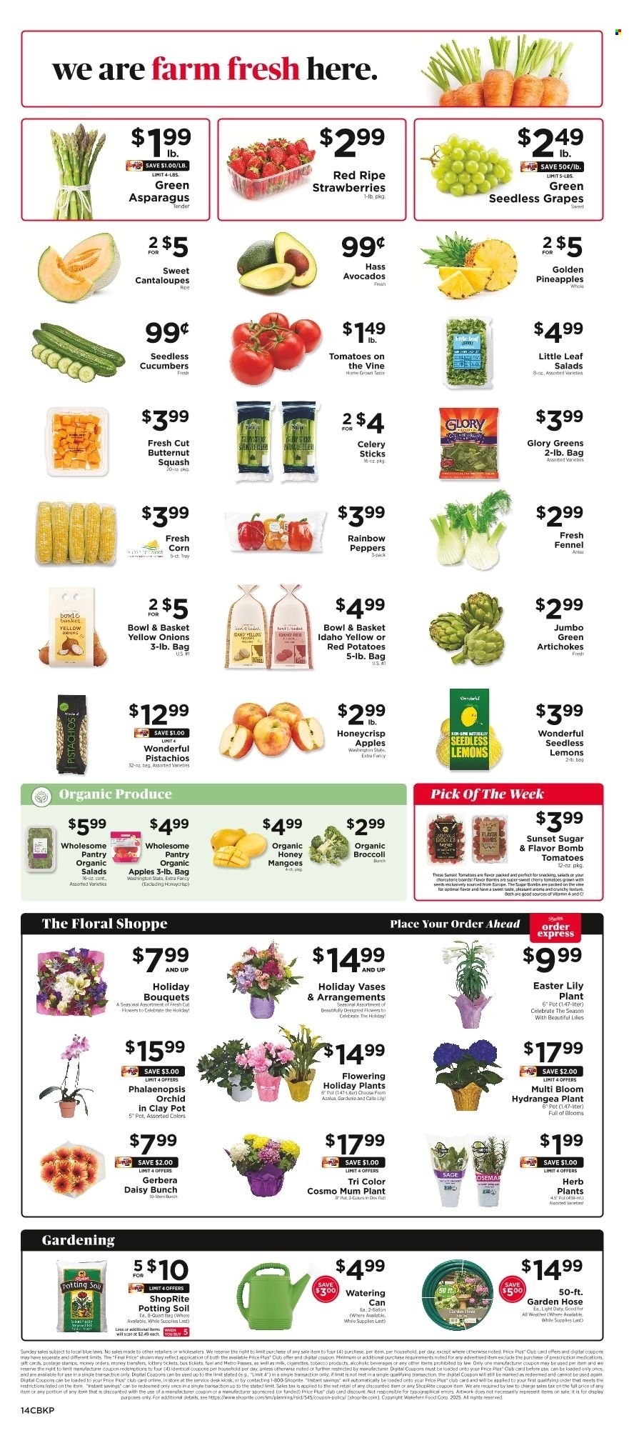 ShopRite ad - 04/11/2025 - 04/17/2025. Page 15
