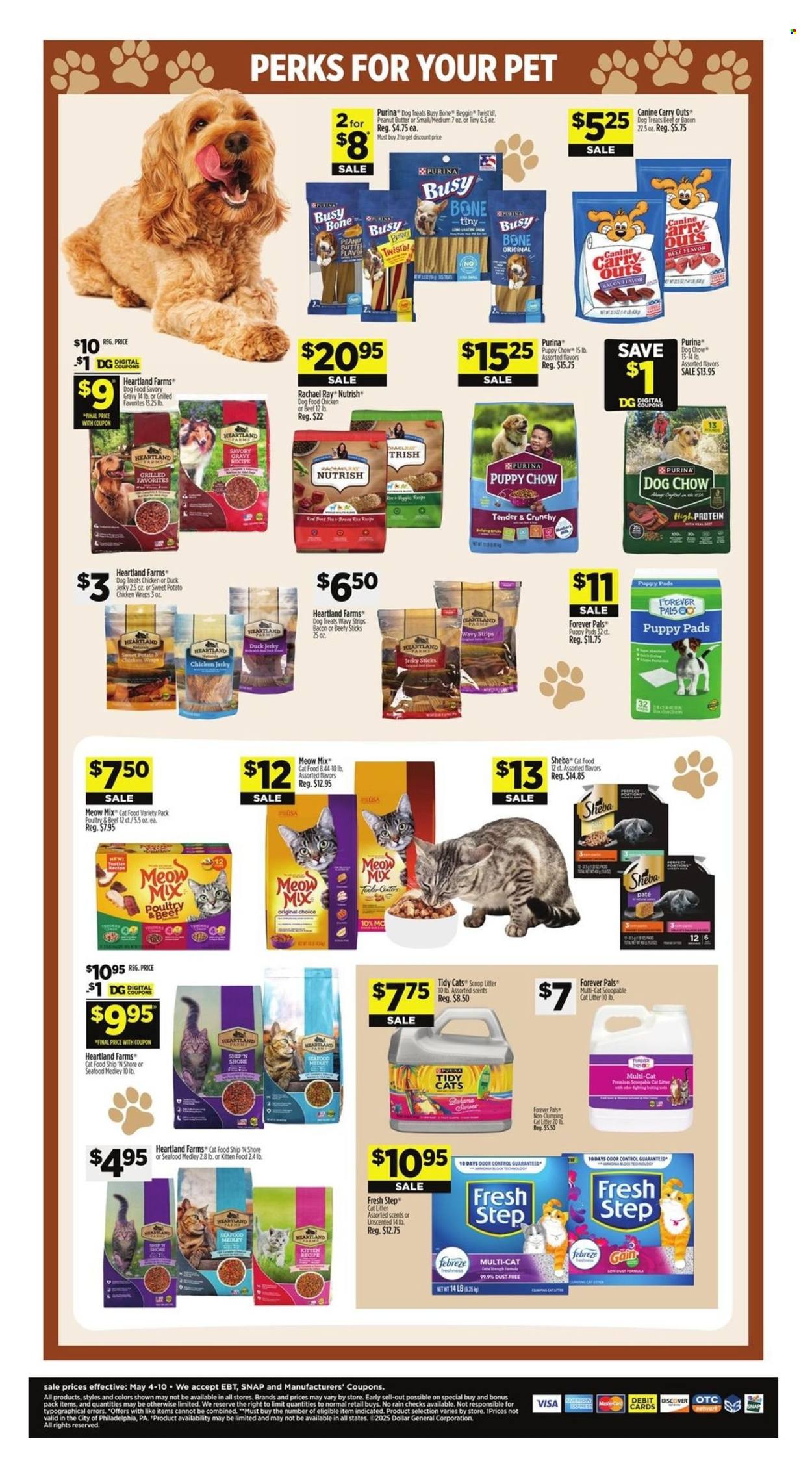 Dollar General ad - 05/04/2025 - 05/10/2025. Page 11