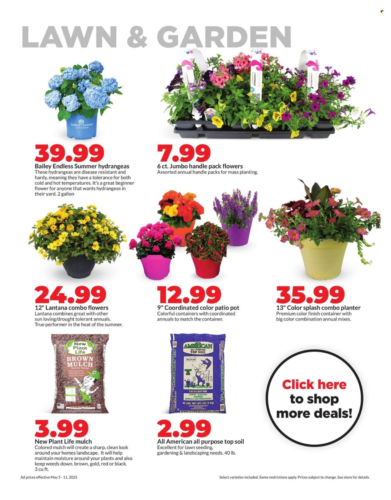 Hy-Vee ad - 05/05/2025 - 05/11/2025. Page 31