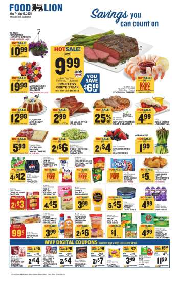 Food Lion Flyer - 05/07/2025 - 05/13/2025.