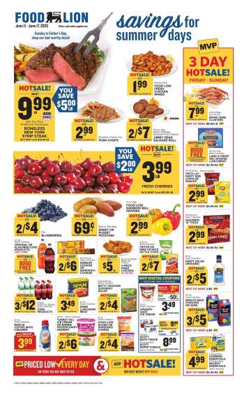 Food Lion Flyer - 06/11/2025 - 06/17/2025.