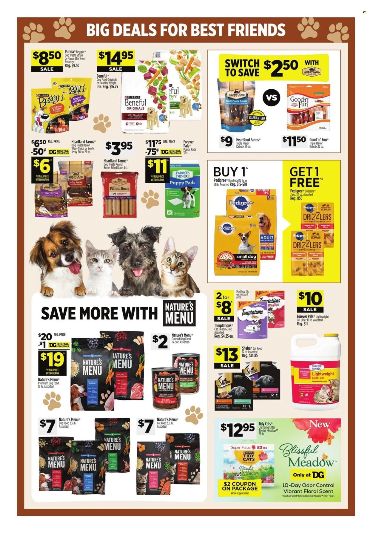 Dollar General ad - 07/06/2025 - 07/12/2025. Page 9