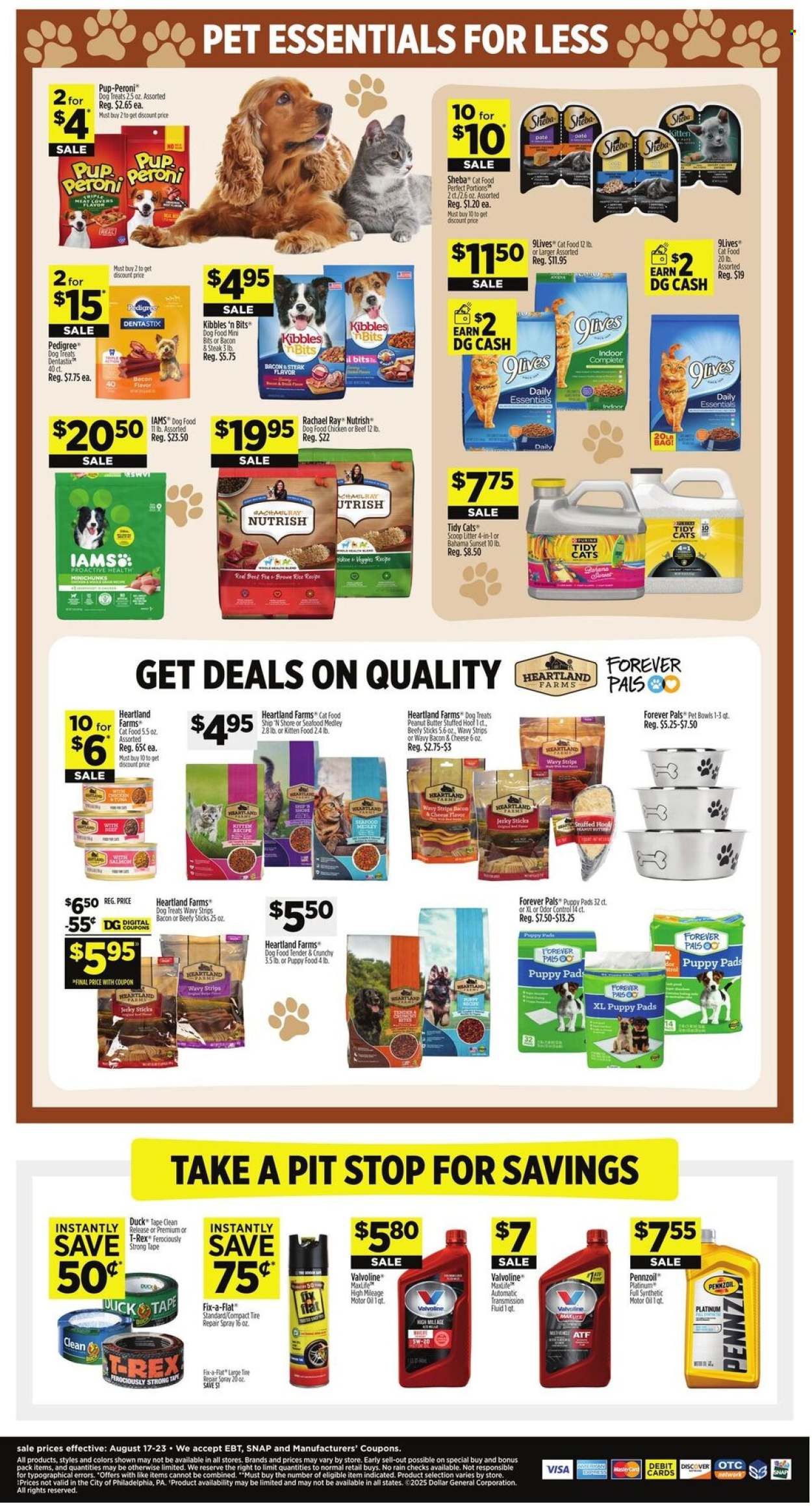 Dollar General ad - 08/17/2025 - 08/23/2025. Page 11