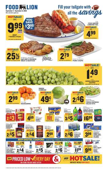 Food Lion Flyer - 09/03/2025 - 09/09/2025.