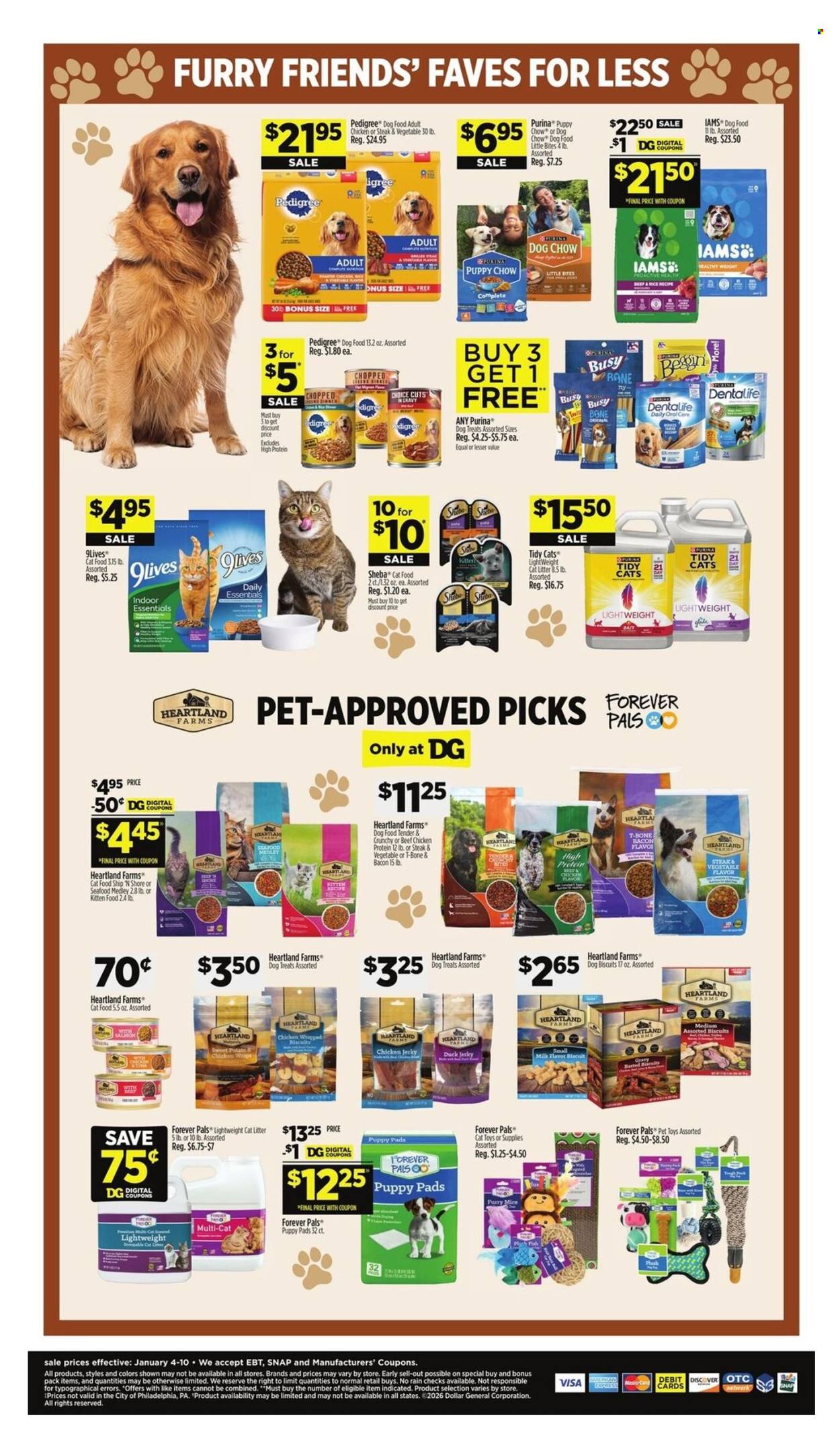 Dollar General ad - 01/04/2026 - 01/10/2026. Page 10