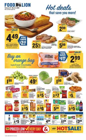 Food Lion Flyer - 02/25/2026 - 03/03/2026.