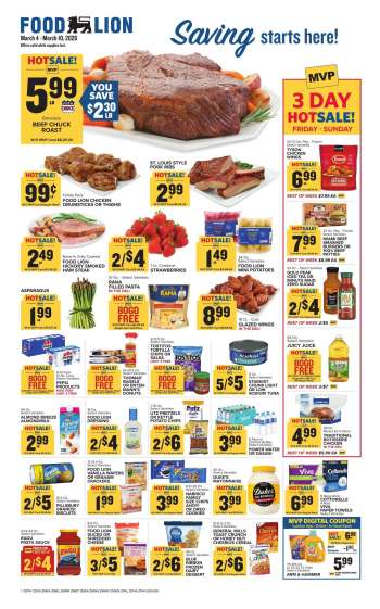 Food Lion Flyer - 03/04/2026 - 03/10/2026.