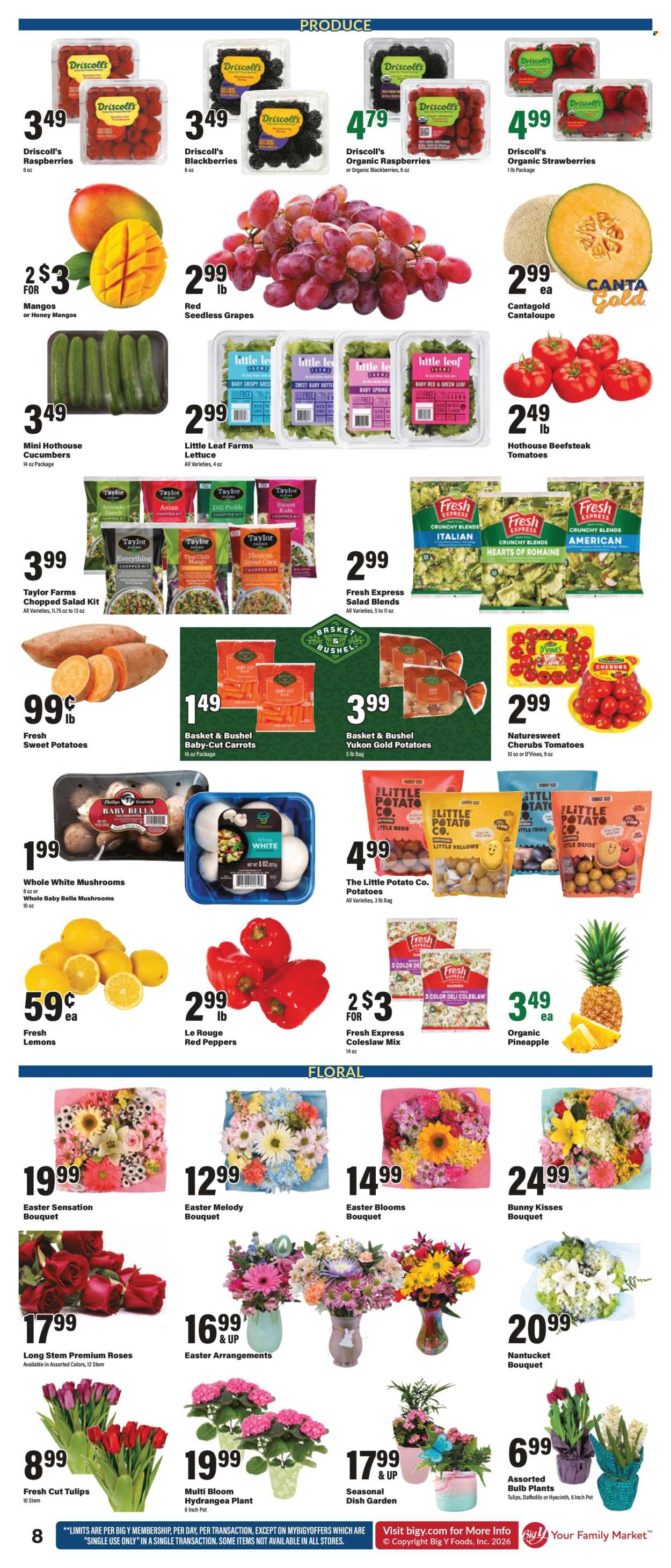 Big Y ad - 04/02/2026 - 04/08/2026. Page 12