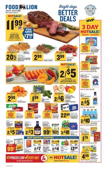 Food Lion Flyer - 06/10/2026 - 06/16/2026.