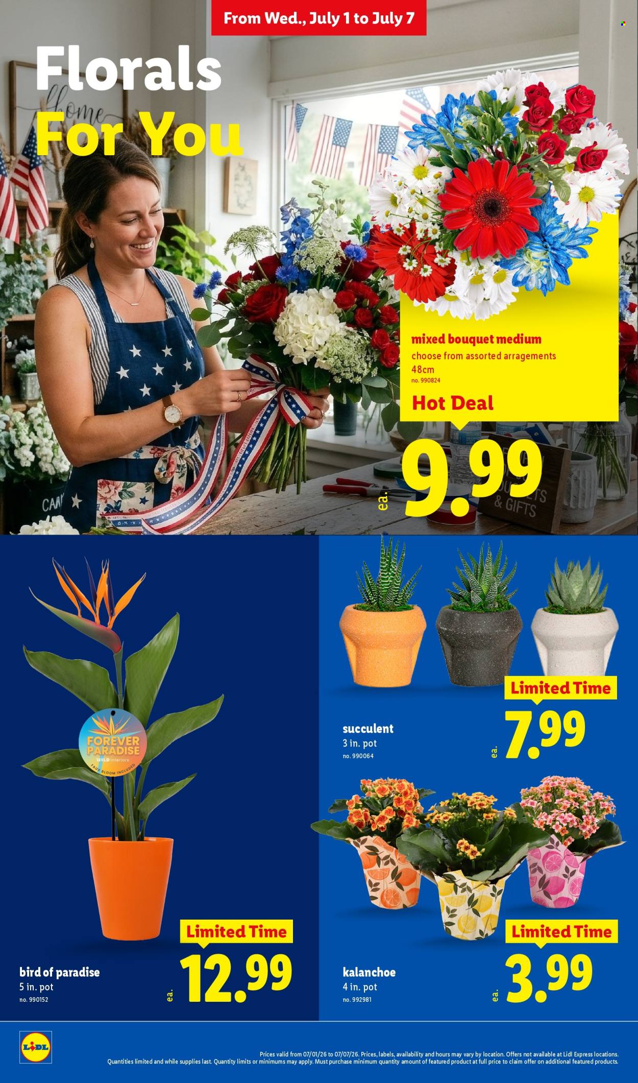 Lidl ad - 07/01/2026 - 07/07/2026. Page 34