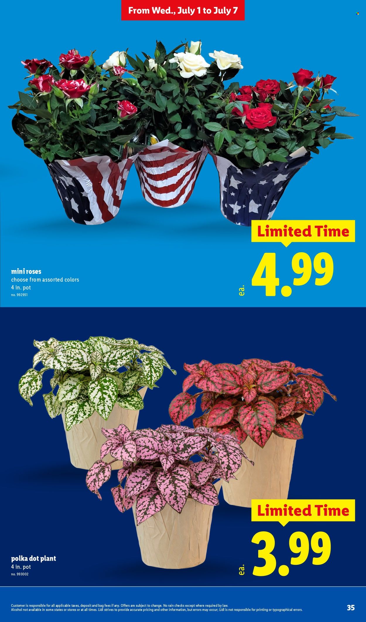 Lidl ad - 07/01/2026 - 07/07/2026. Page 35