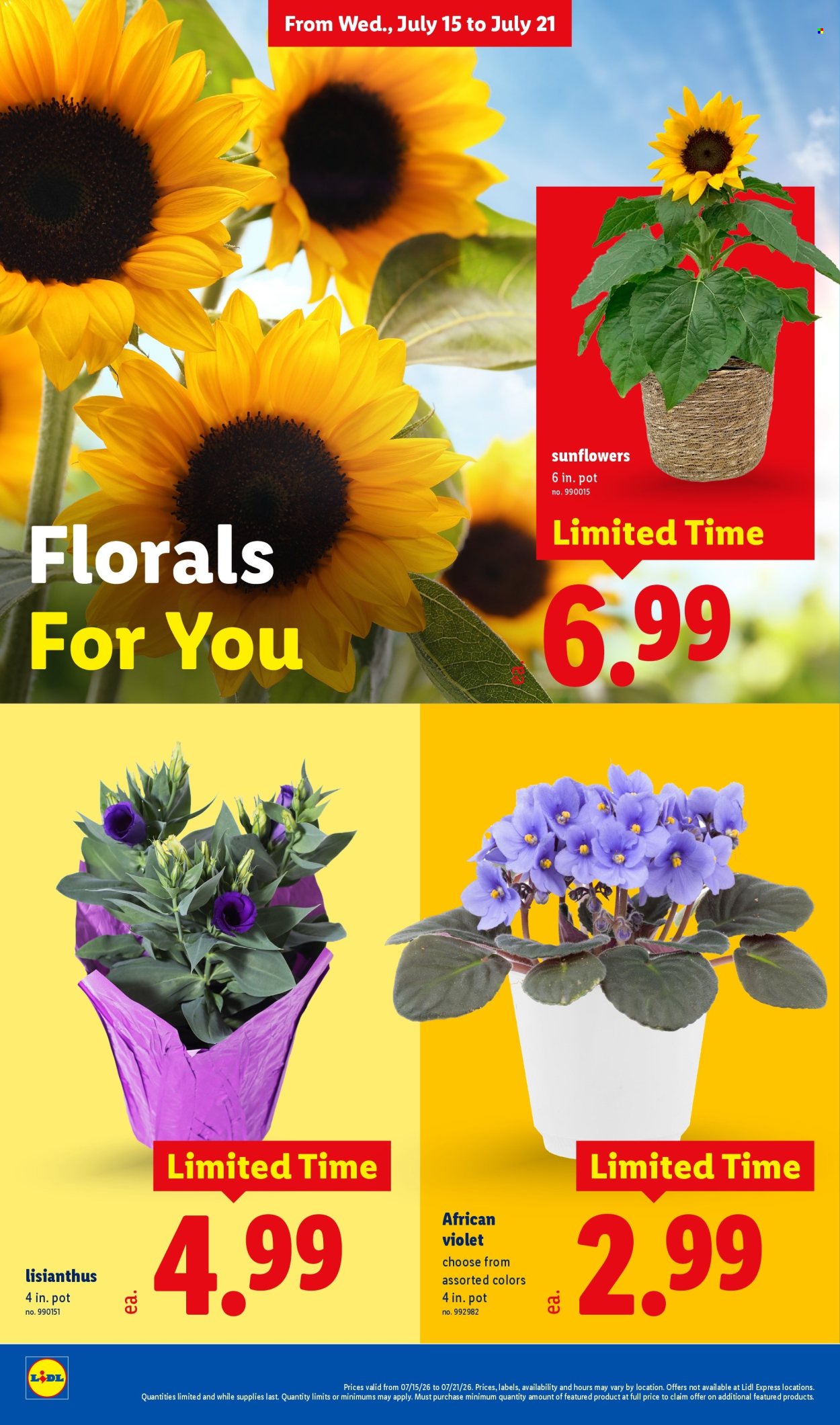 Lidl ad - 07/15/2026 - 07/21/2026. Page 30