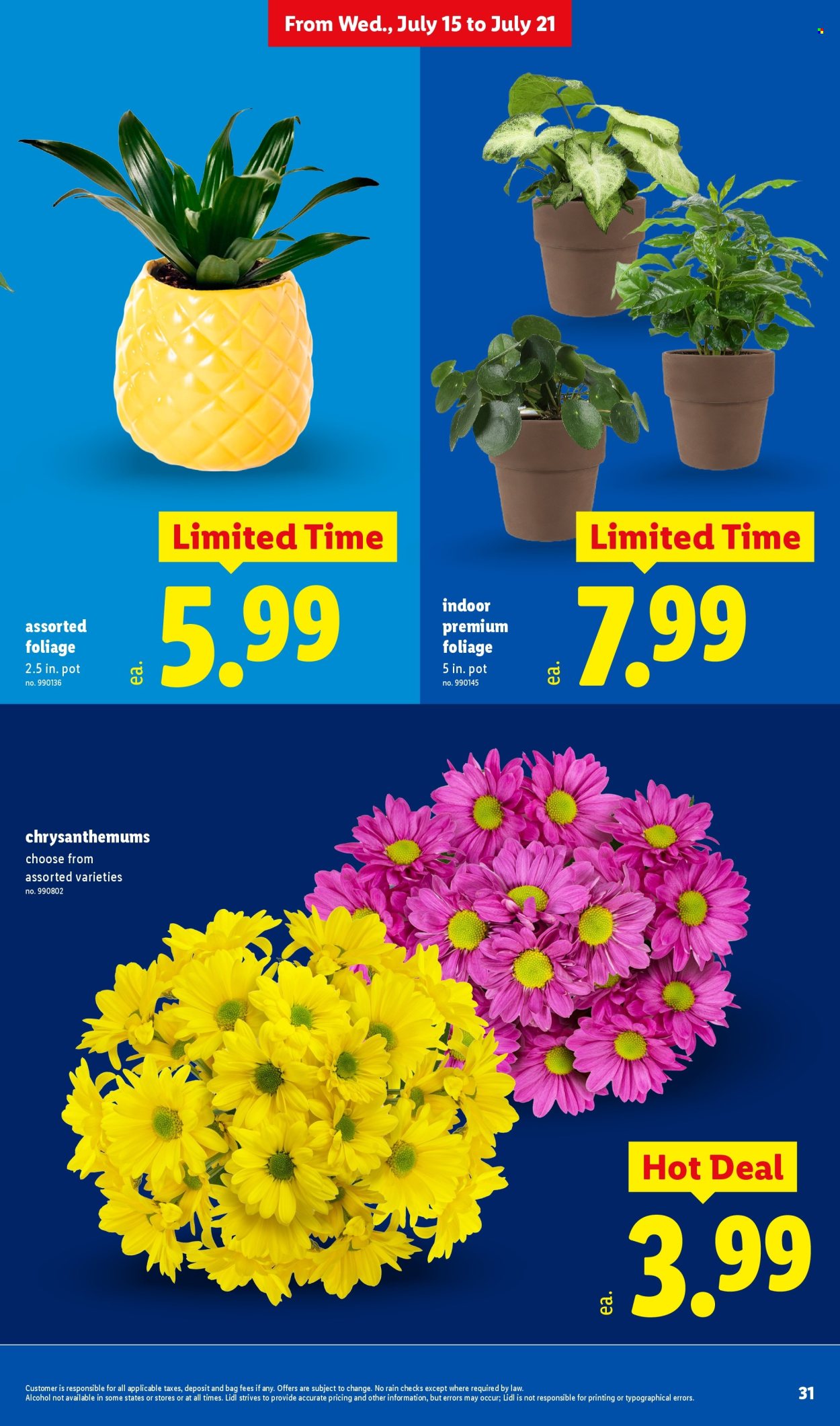Lidl ad - 07/15/2026 - 07/21/2026. Page 31