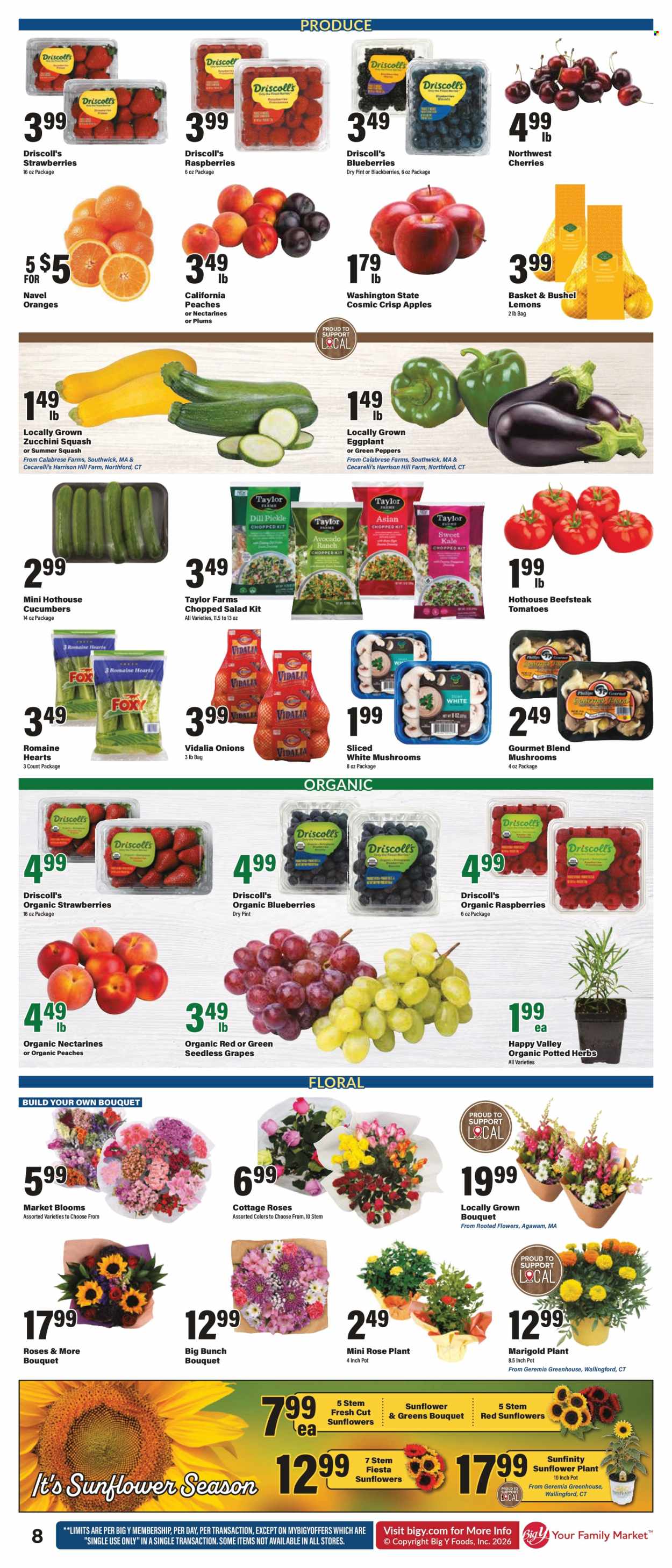 Big Y ad - 07/23/2026 - 07/29/2026. Page 10