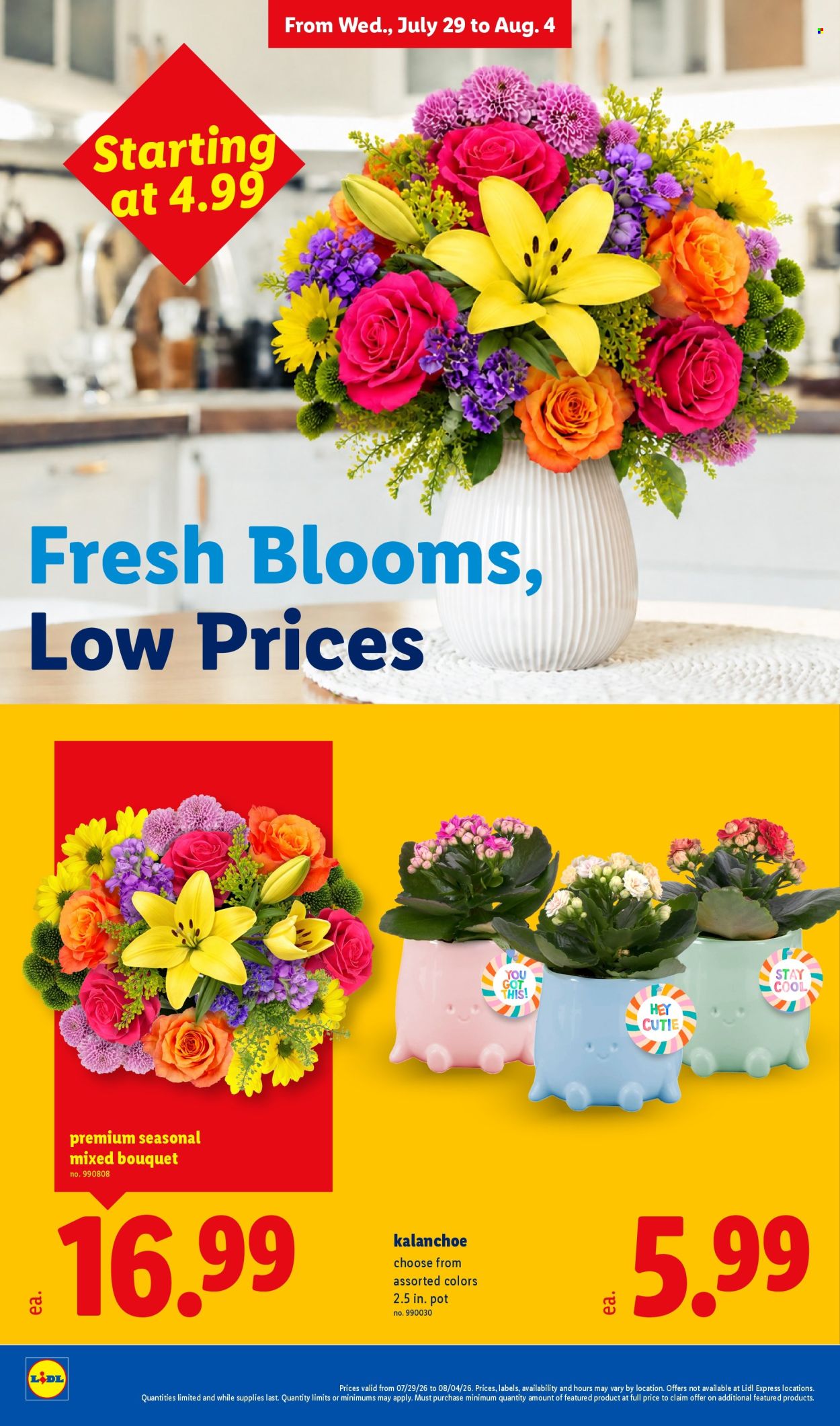 Lidl ad - 07/29/2026 - 08/04/2026. Page 34