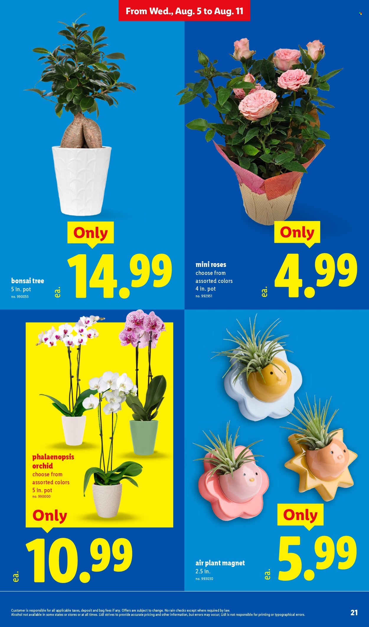 Lidl ad - 08/05/2026 - 08/11/2026. Page 21