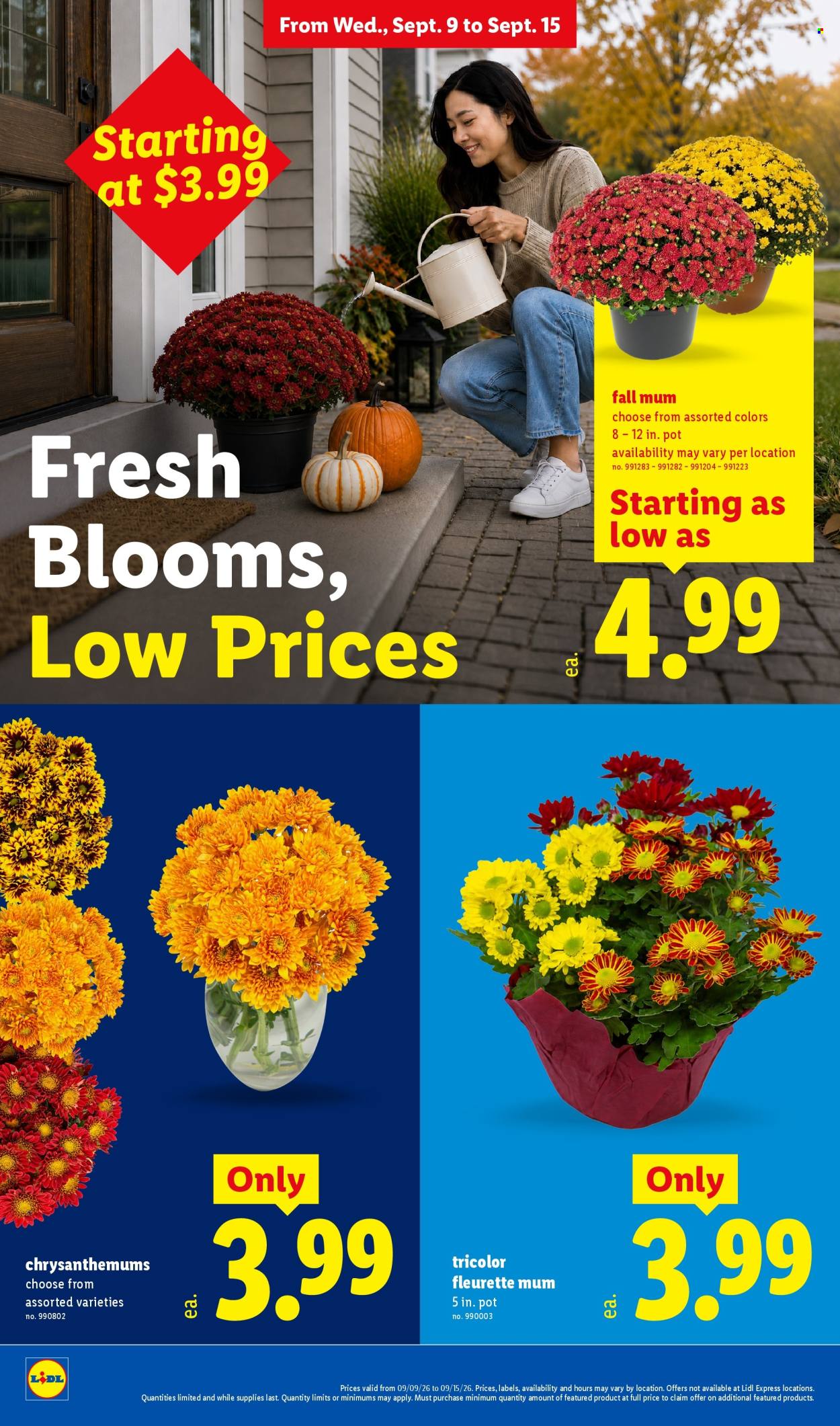 Lidl ad - 09/09/2026 - 09/15/2026. Page 22