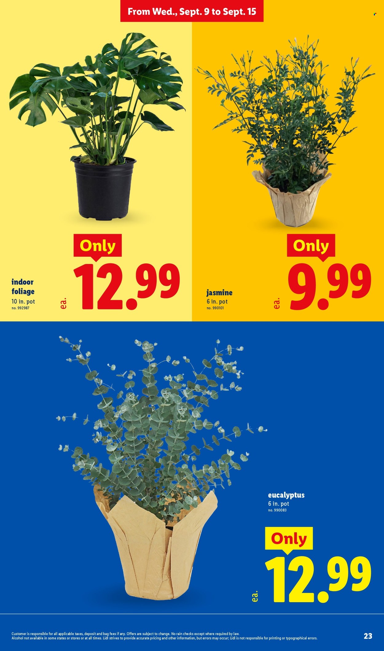 Lidl ad - 09/09/2026 - 09/15/2026. Page 23