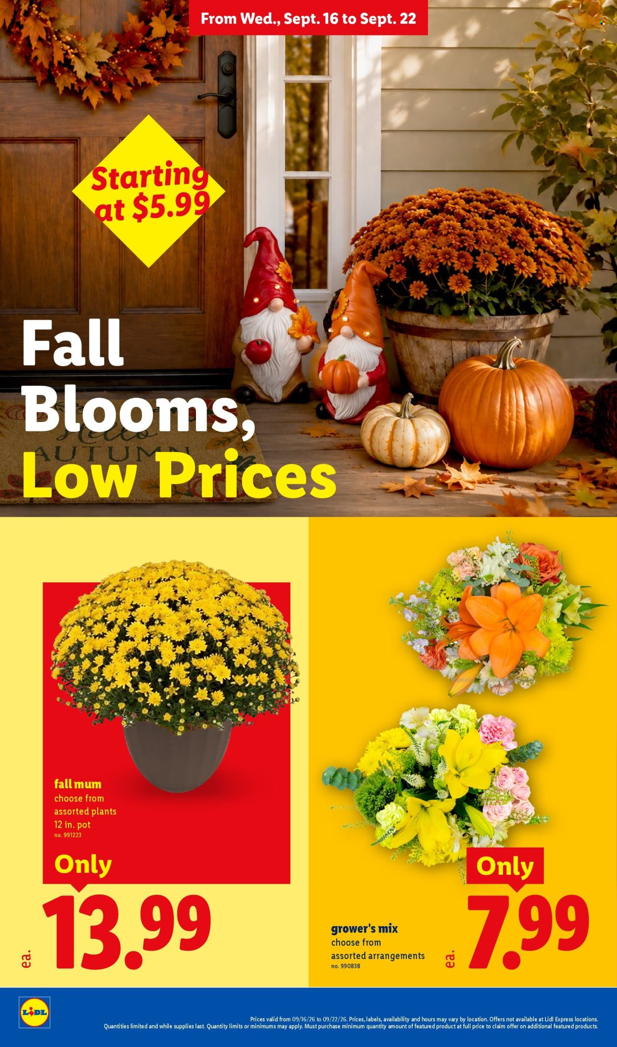 Lidl ad - 09/16/2026 - 09/22/2026. Page 22