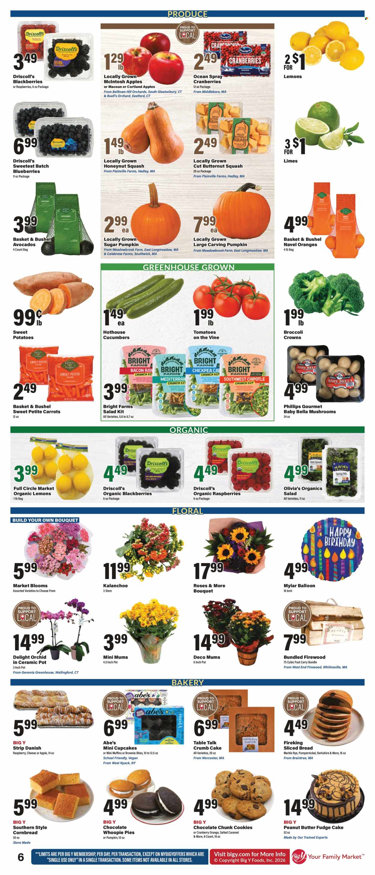 Big Y ad - 10/08/2026 - 10/14/2026. Page 10