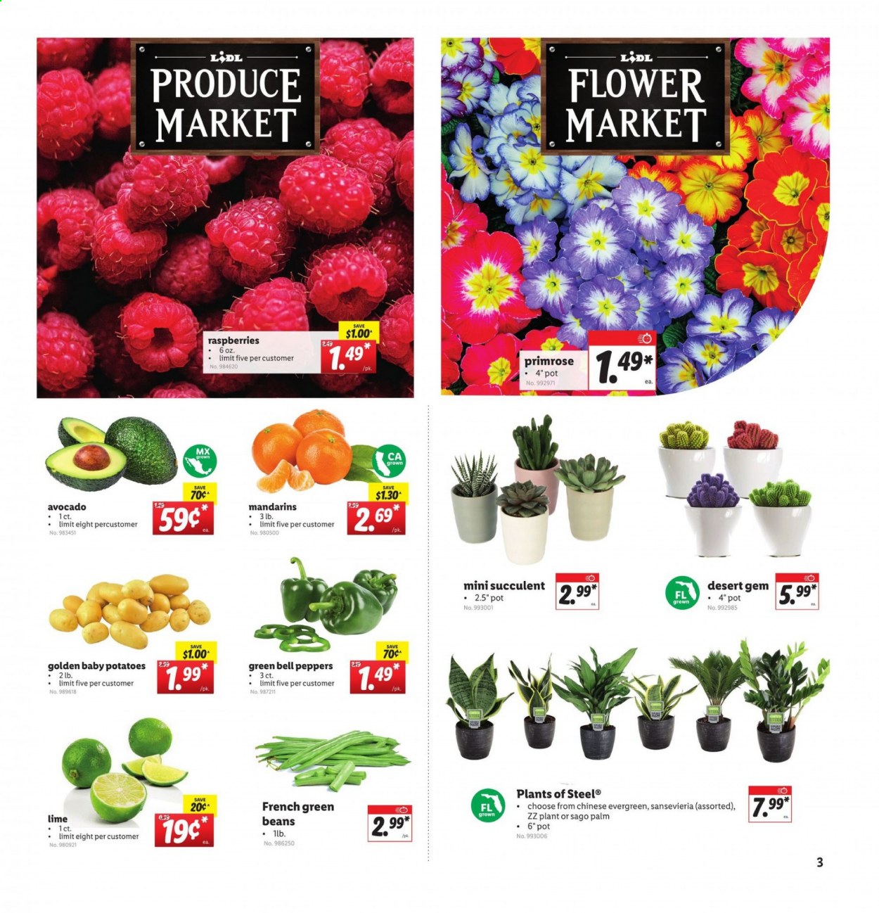 Lidl ad - 01/06/2021 - 01/12/2021. Page 3