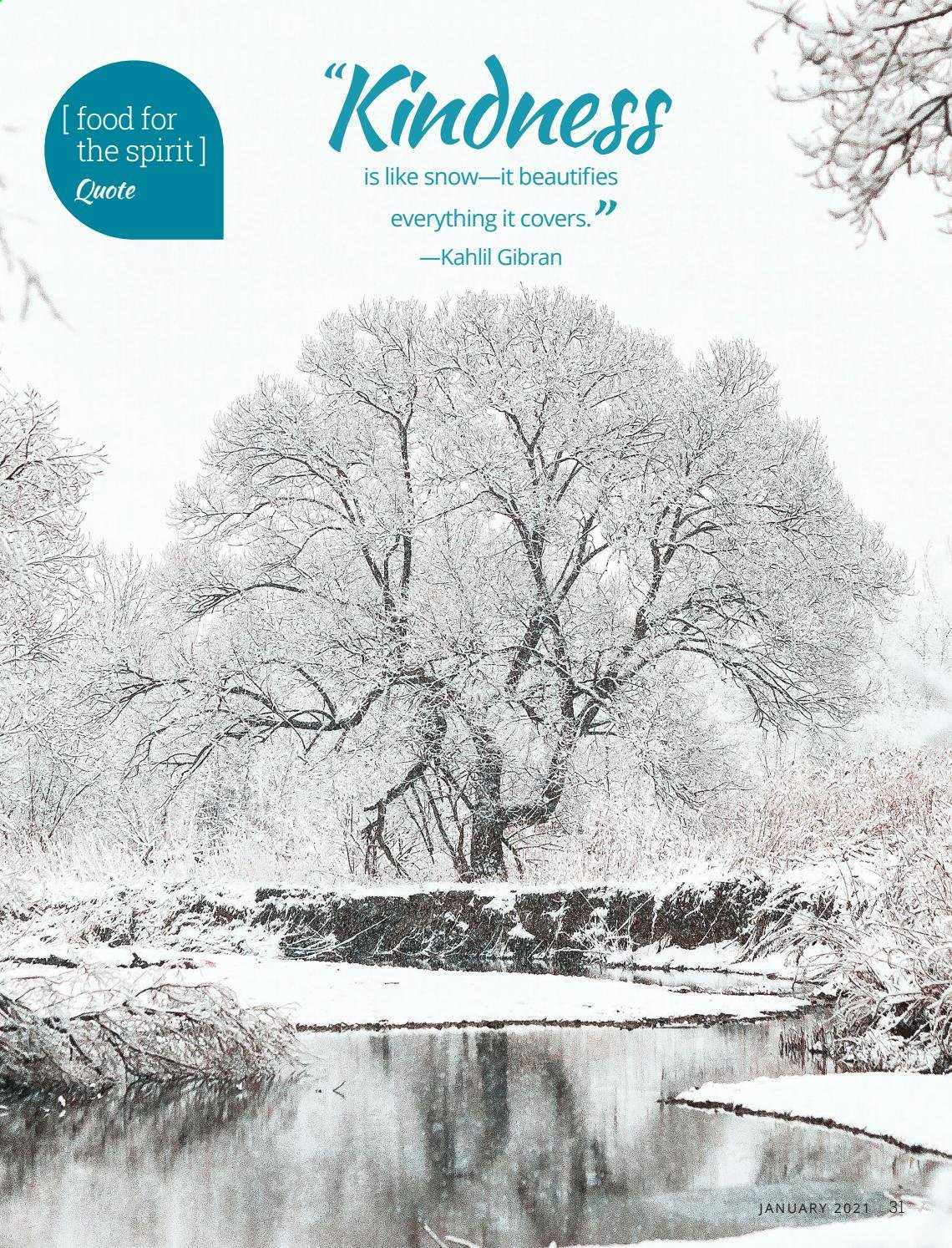 Festival Foods ad - 01/01/2021 - 01/31/2021. Page 31