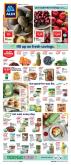 ALDI Flyer - 01.10.2021 - 01.16.2021.