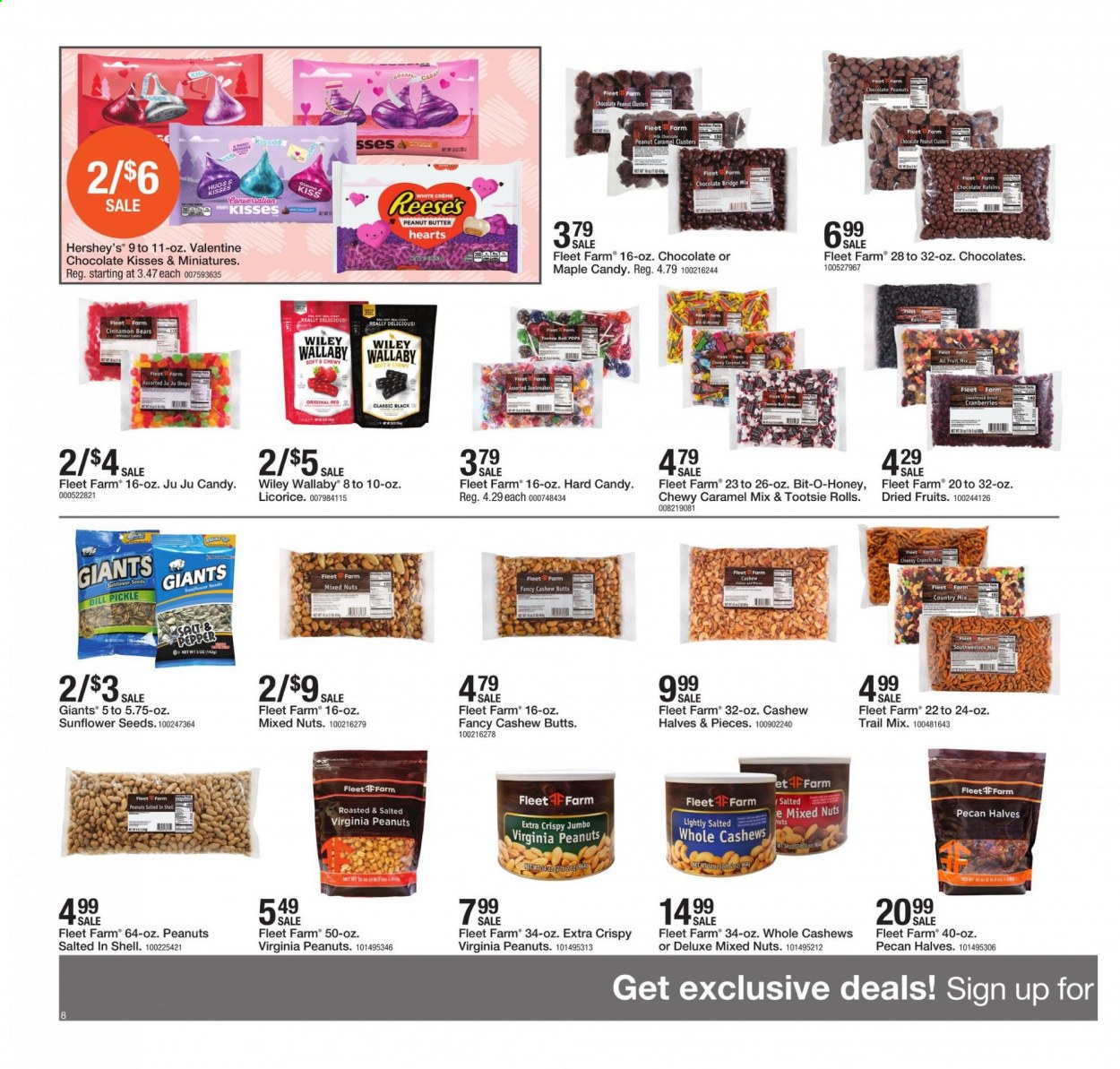 thumbnail - Fleet Farm Flyer - 01/15/2021 - 01/23/2021 - Sales products - chocolate, fruit mix, Reese's, Hershey's, dill pickle, dill, pepper, cinnamon, caramel, honey, peanut butter, cashews, raisins, sunflower seeds, mixed nuts. Page 8.