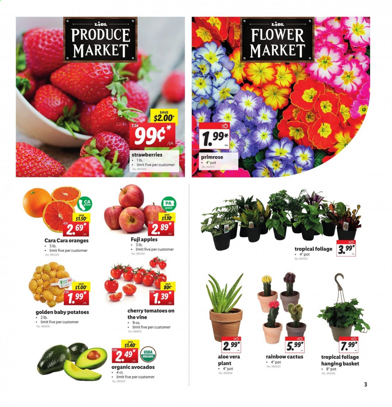 Lidl ad - 01/20/2021 - 01/26/2021. Page 3