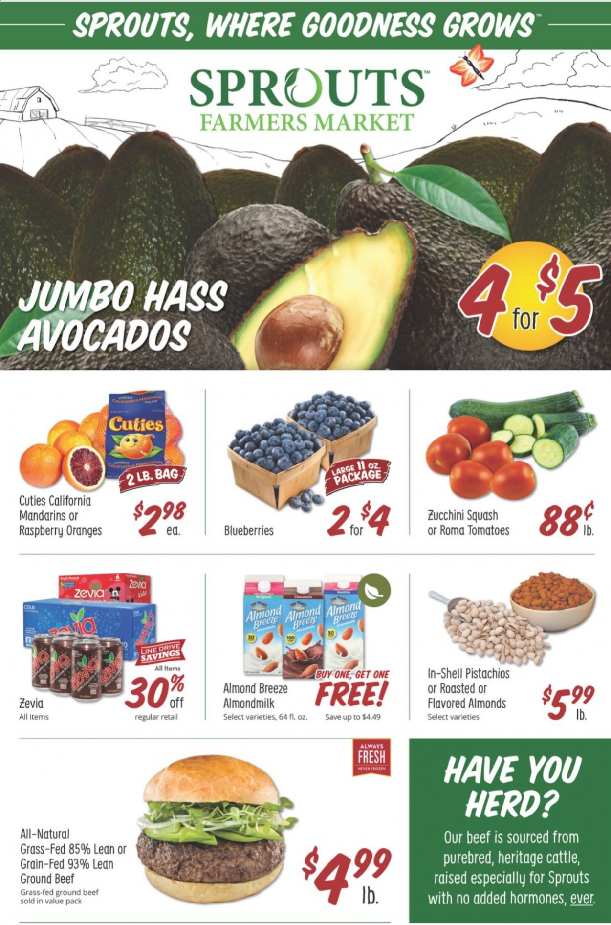 thumbnail - Sprouts Flyer - 01/20/2021 - 01/26/2021 - Sales products - zucchini, blueberries, oranges, Almond Breeze, almond milk, mandarines, pistachios, beef meat, ground beef. Page 1.