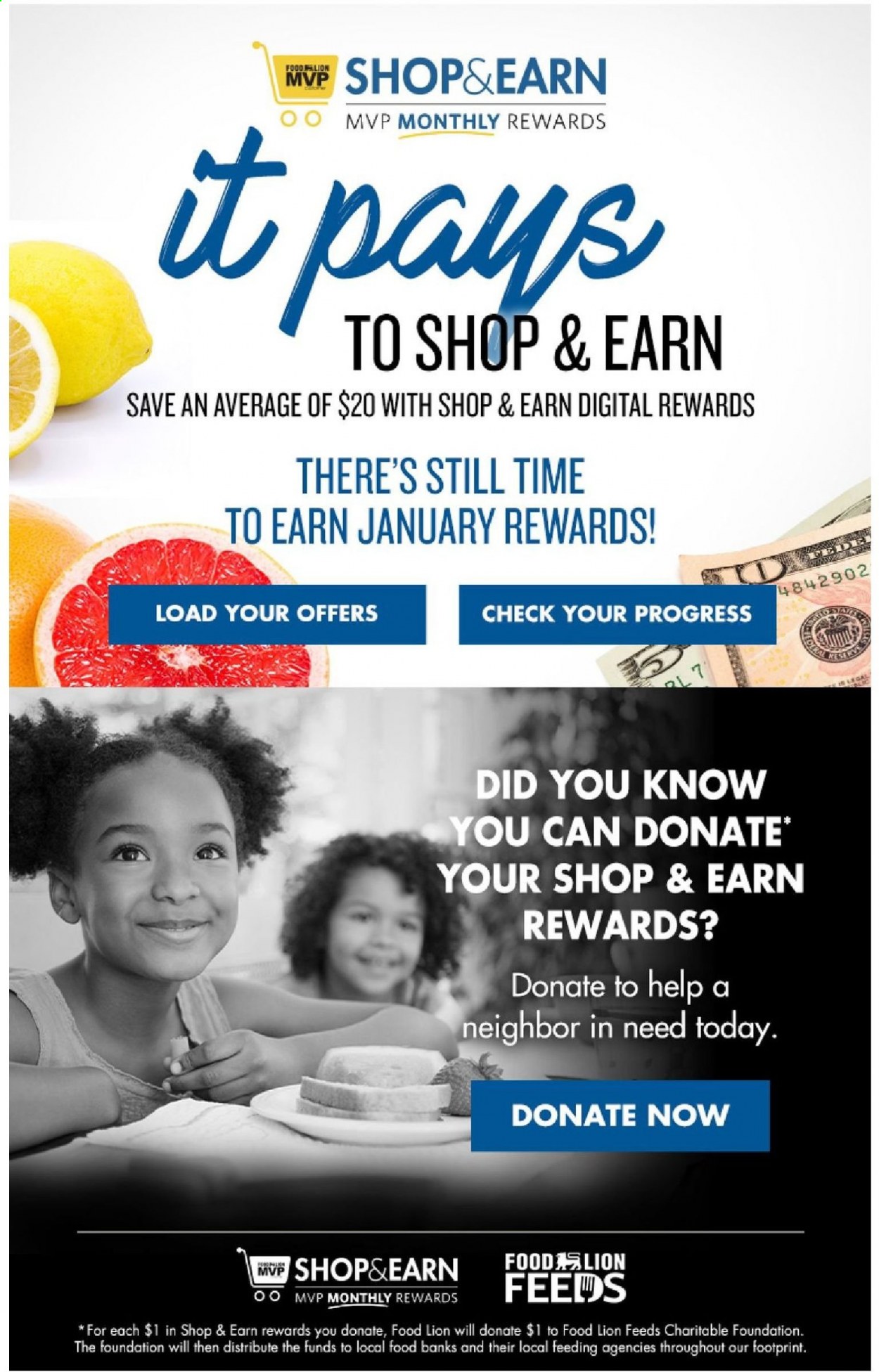 Food Lion ad - 01/20/2021 - 01/26/2021. Page 17