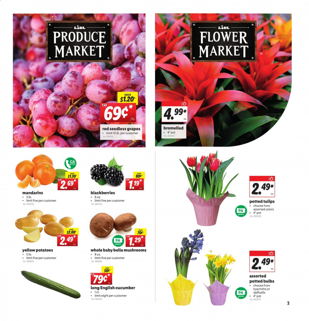 Lidl ad - 01/27/2021 - 02/02/2021. Page 3