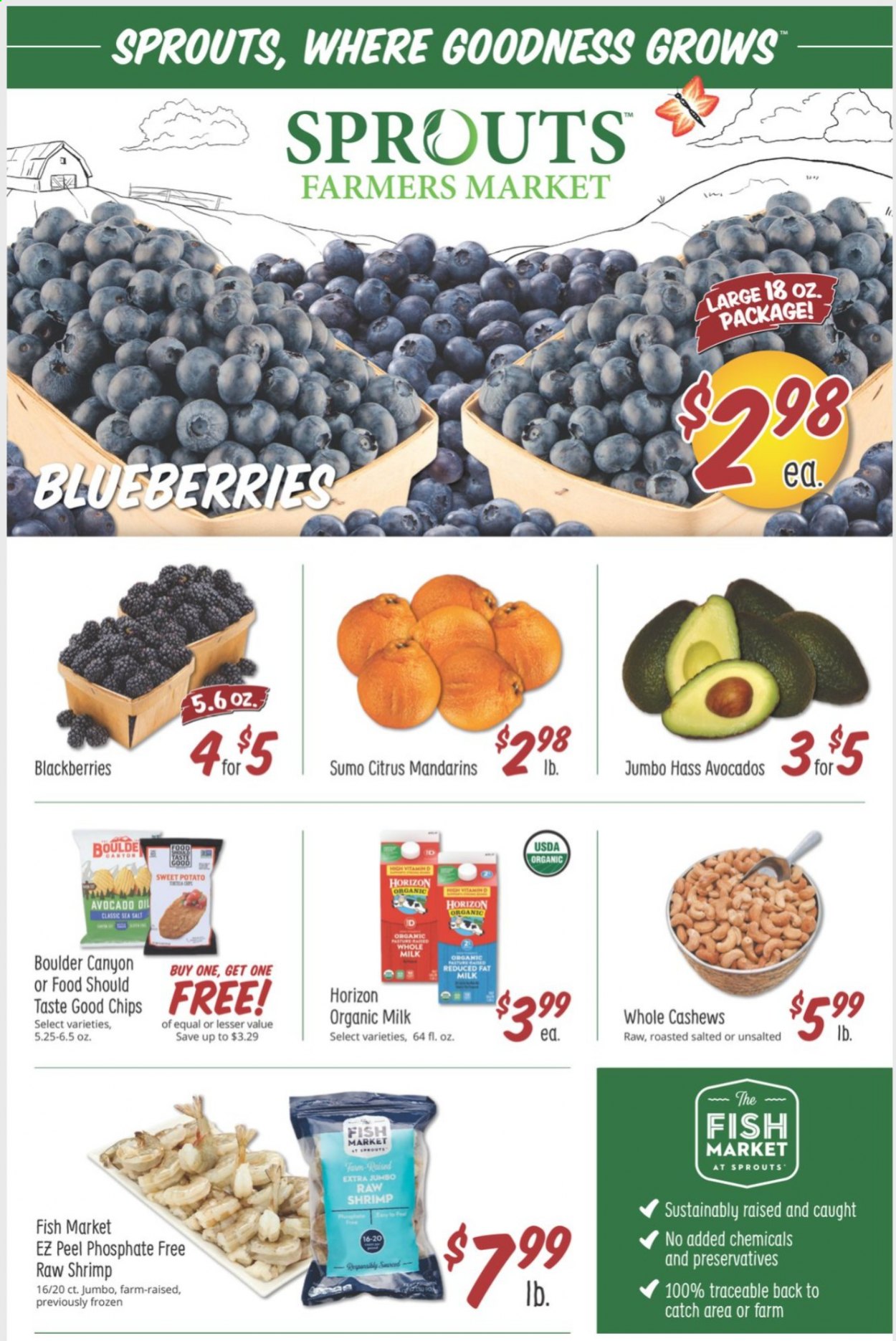 thumbnail - Sprouts Flyer - 01/27/2021 - 02/02/2021 - Sales products - sweet potato, blackberries, blueberries, fish, shrimps, organic milk, sea salt, mandarines, cashews. Page 1.