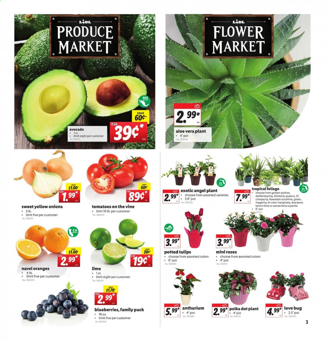 Lidl ad - 02/03/2021 - 02/09/2021. Page 3