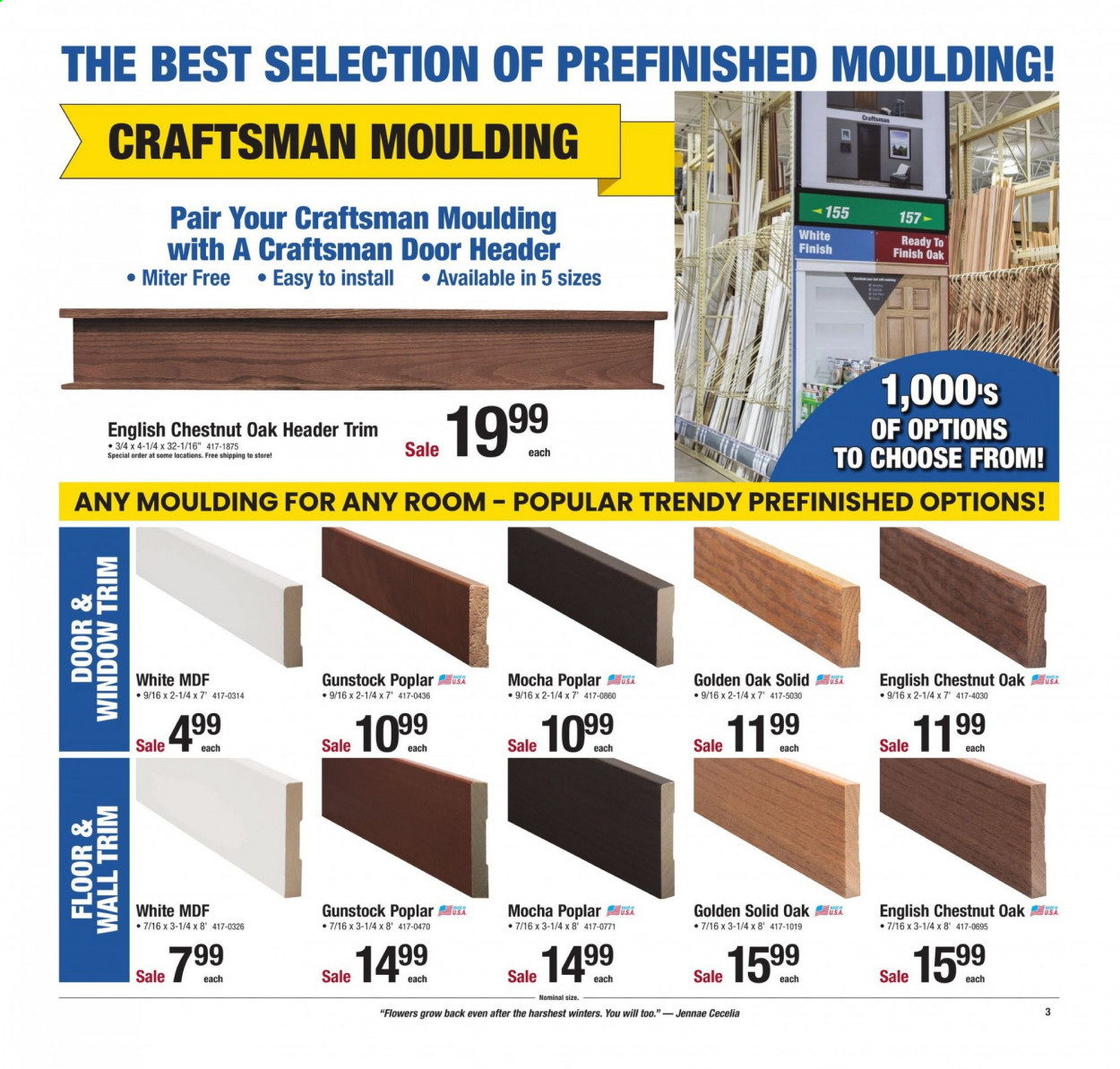 Menards ad - 01/24/2021 - 01/31/2021. Page 3