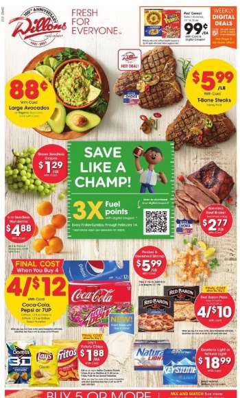 Dillons Flyer - 02.03.2021 - 02.09.2021.