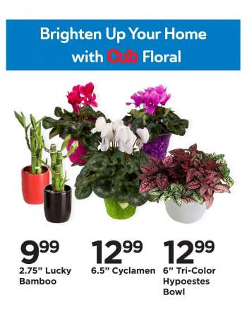 Cub Foods Flyer - 01.31.2021 - 02.06.2021.