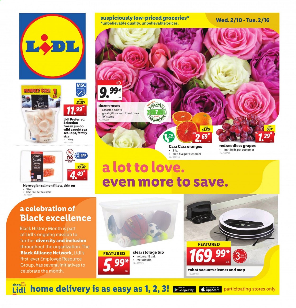 thumbnail - Lidl Flyer - 02/10/2021 - 02/16/2021 - Sales products - seedless grapes, oranges, salmon, salmon fillet, scallops, Celebration, cleaner, mop, lid, vacuum cleaner, robot vacuum, vase, rose, grapes. Page 1.