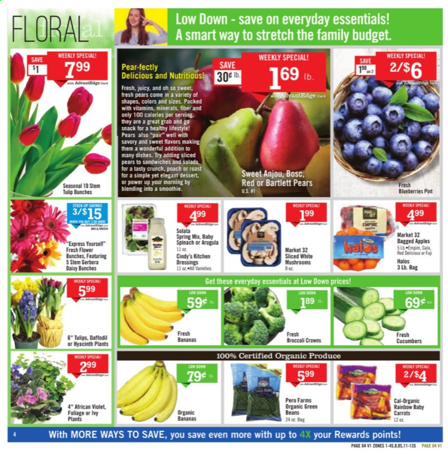 thumbnail - Price Chopper Flyer - 02/14/2021 - 02/20/2021 - Sales products - mushrooms, arugula, green beans, Bartlett pears, blueberries, organic bananas, apples, bananas, pears, beans, carrots, snack, cucumber, smoothie, hyacinth, tulip, bunches, gerbera. Page 4.