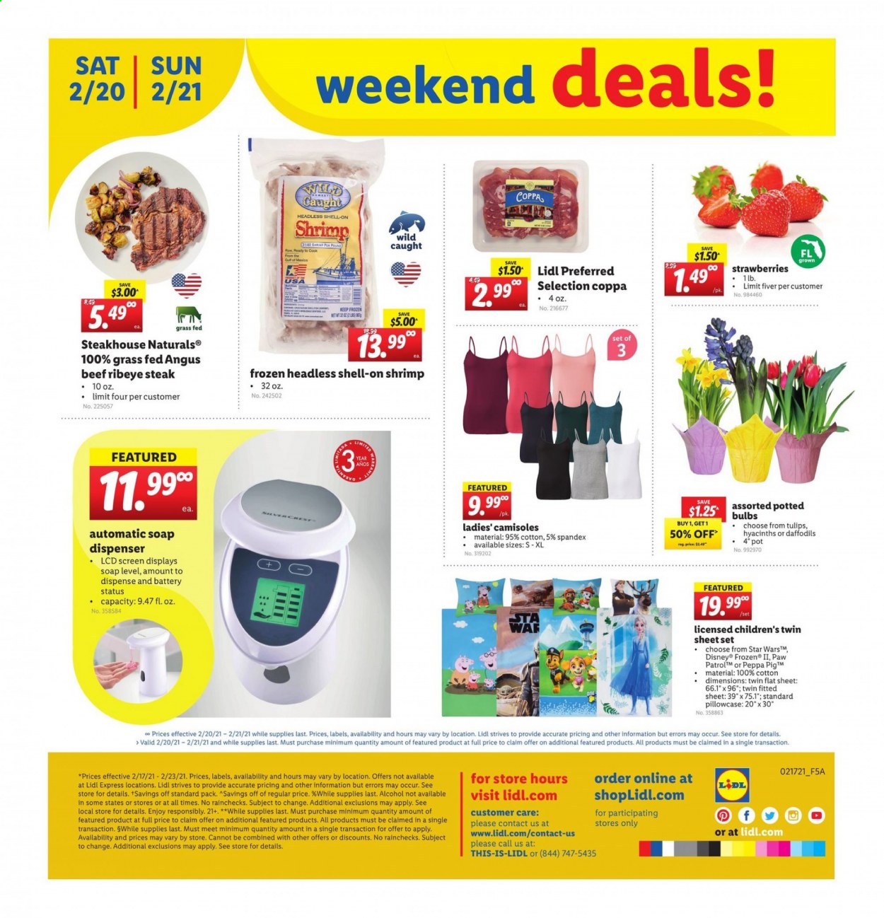 Lidl ad - 02/17/2021 - 02/23/2021. Page 24