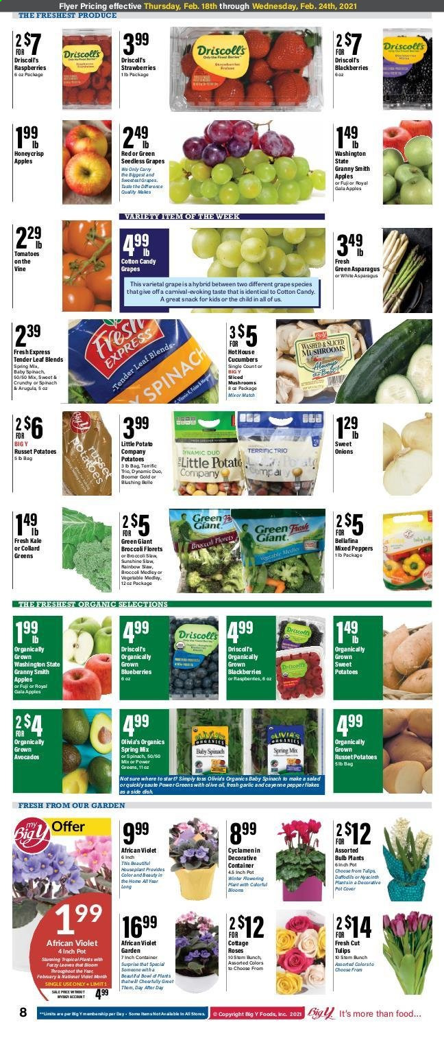 Big Y ad - 02/18/2021 - 02/24/2021. Page 9