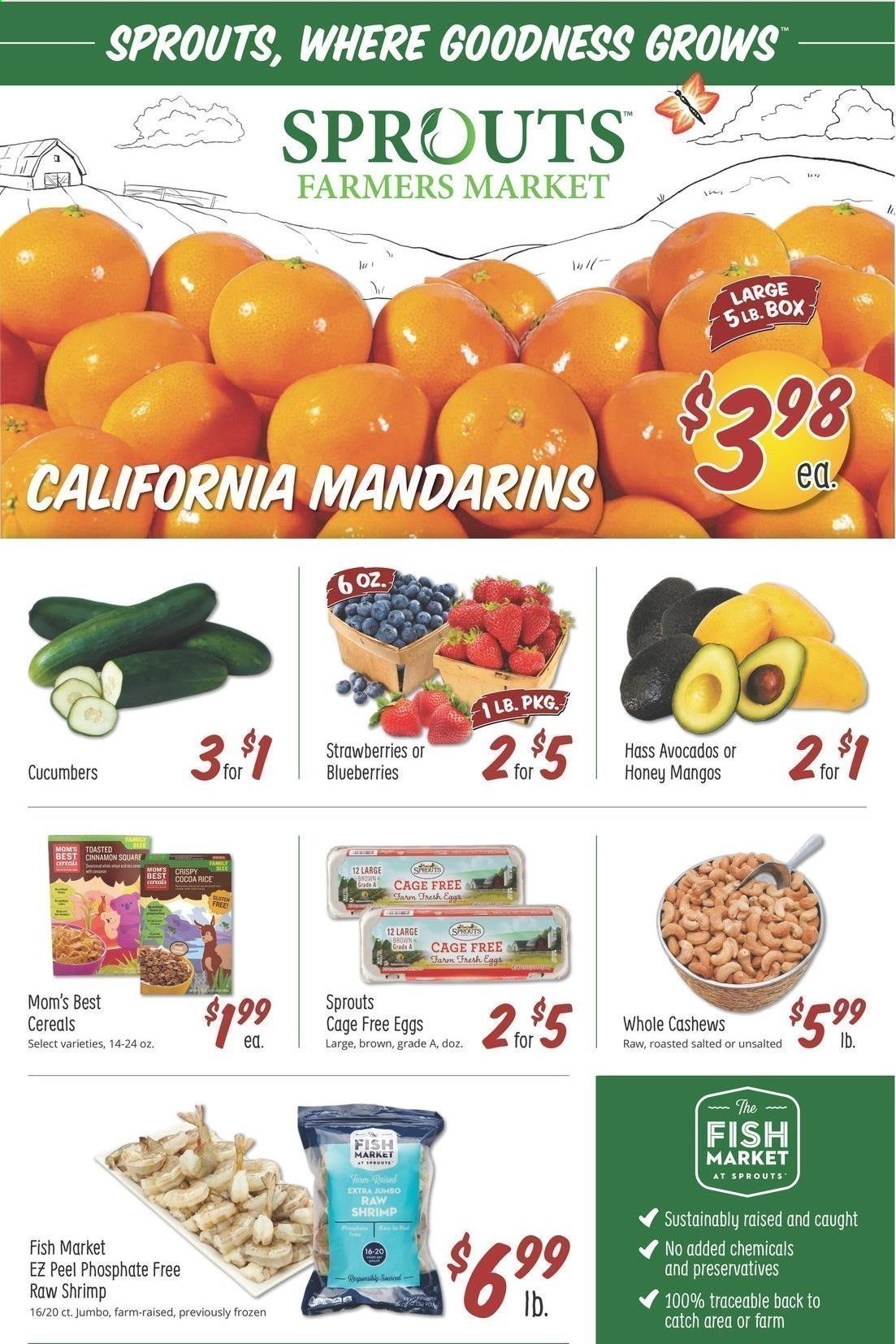 thumbnail - Sprouts Flyer - 02/24/2021 - 03/02/2021 - Sales products - blueberries, fish, shrimps, eggs, cage free eggs, mango, strawberries, cucumber, mandarines, cereals, Mom's Best, cocoa rice, cashews. Page 1.